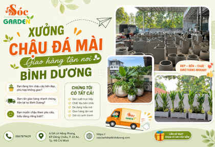Xưởng chậu đá mài giao hàng tận nơi Bình Dương