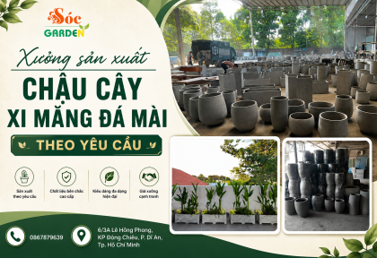 Xưởng sản xuất chậu cây xi măng đá mài theo yêu cầu