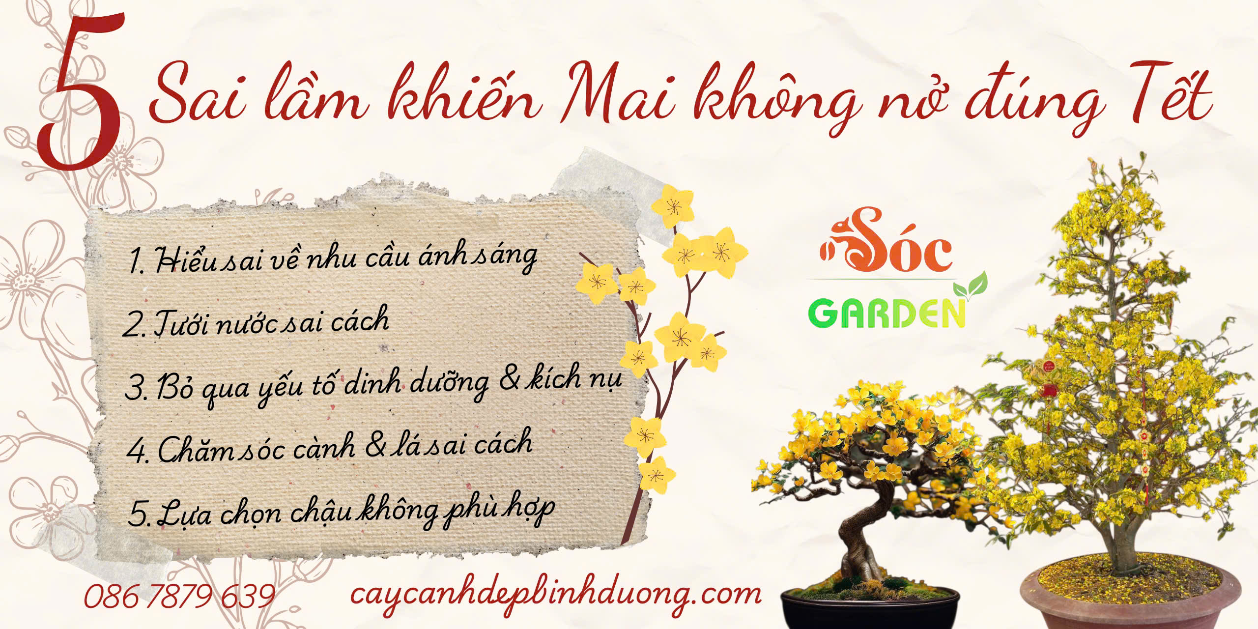 5 Sai Lầm Khiến Mai Không Nở Đúng Tết