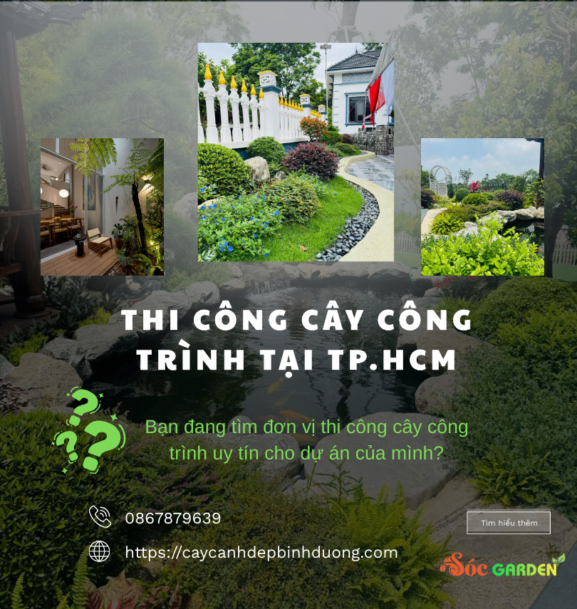Thi Công Cây Công Trình Tại Tp.hcm