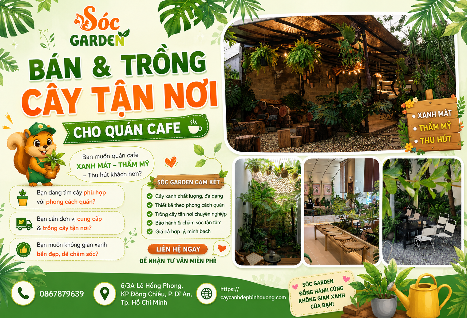 Bán và trồng cây tận nơi cho quán cafe