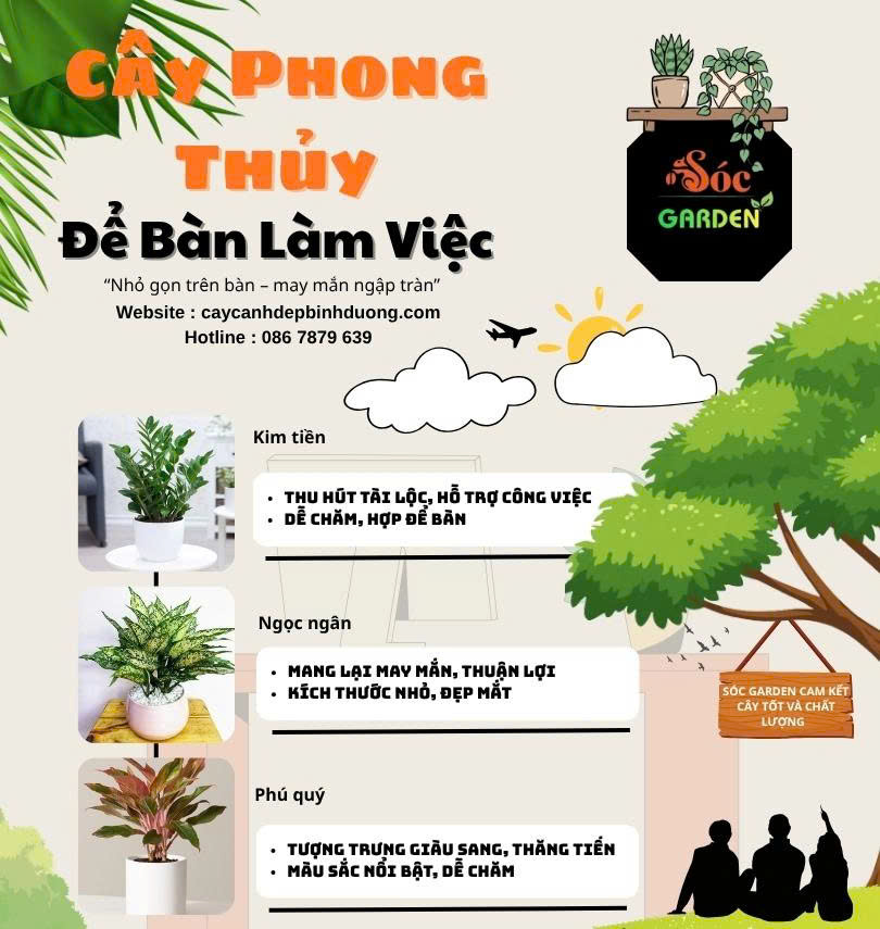 Cây phong thuỷ để bàn làm việc