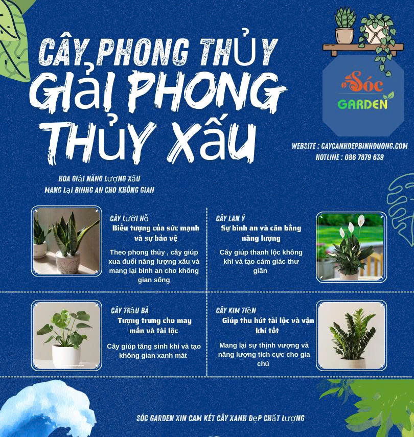 Cây phong thuỷ hoá giải phong thuỷ xấu