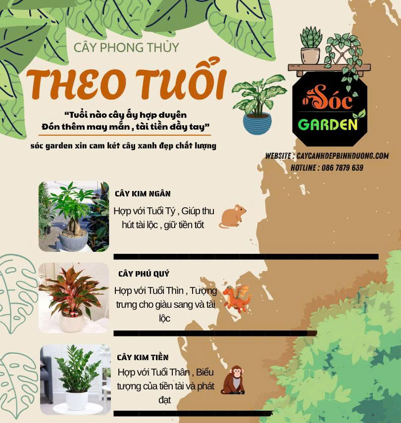 Cây phong thuỷ theo tuổi