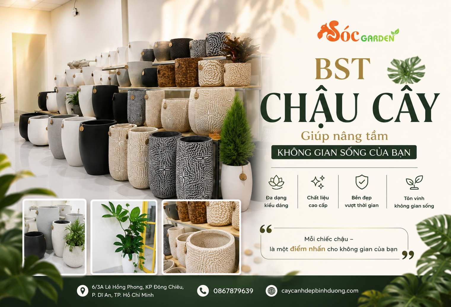 BST chậu cây giúp nâng tầm không gian sống của bạn