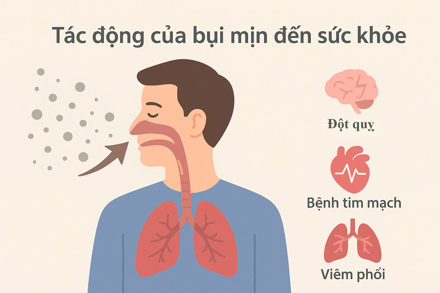 Cây văn phòng lọc bụi mịn