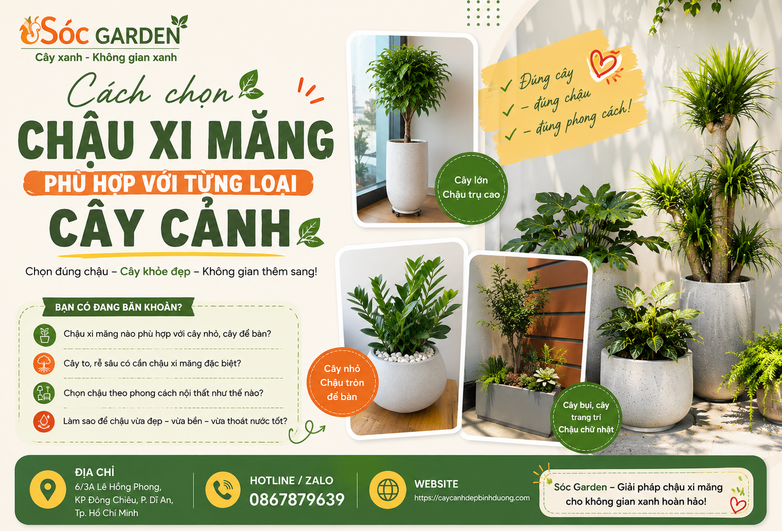 Cách chọn chậu xi măng phù hợp từng loại cây cảnh