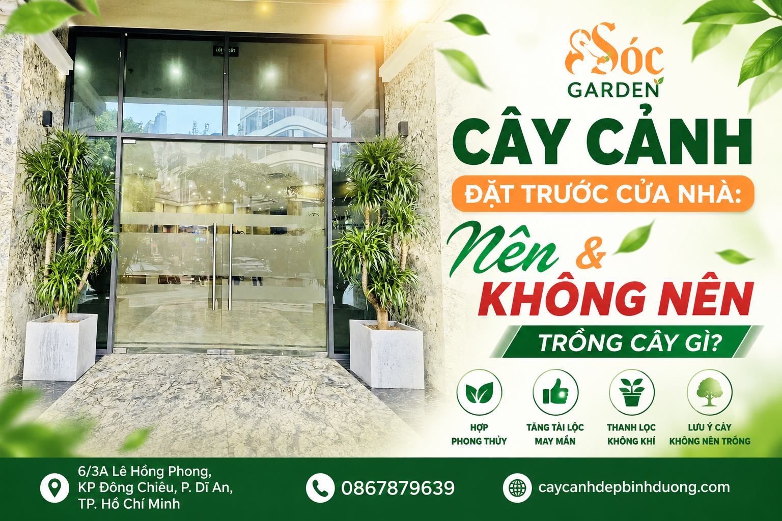  Nên và không nên đặt cây gì trước cửa nhà 