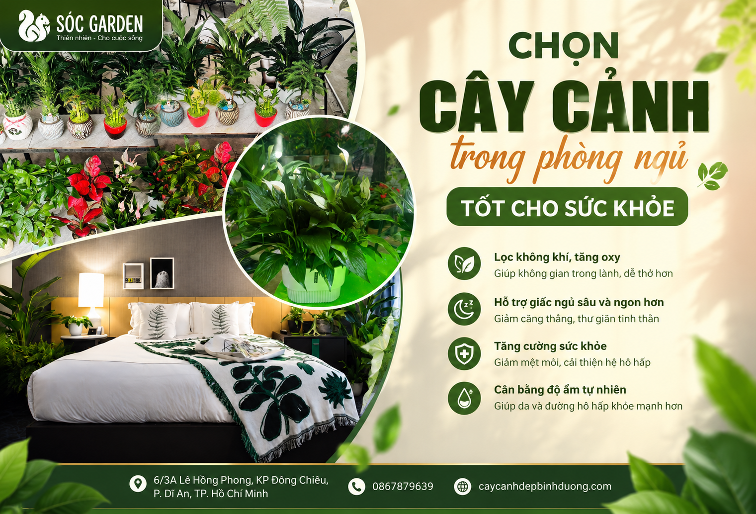Chọn Cây Cảnh Trong Phòng Ngủ Tốt Cho Sức Khỏe