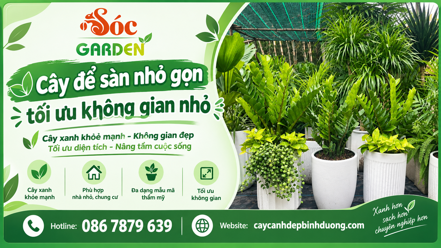Cây để sàn nhỏ gọn tối ưu không gian nhỏ