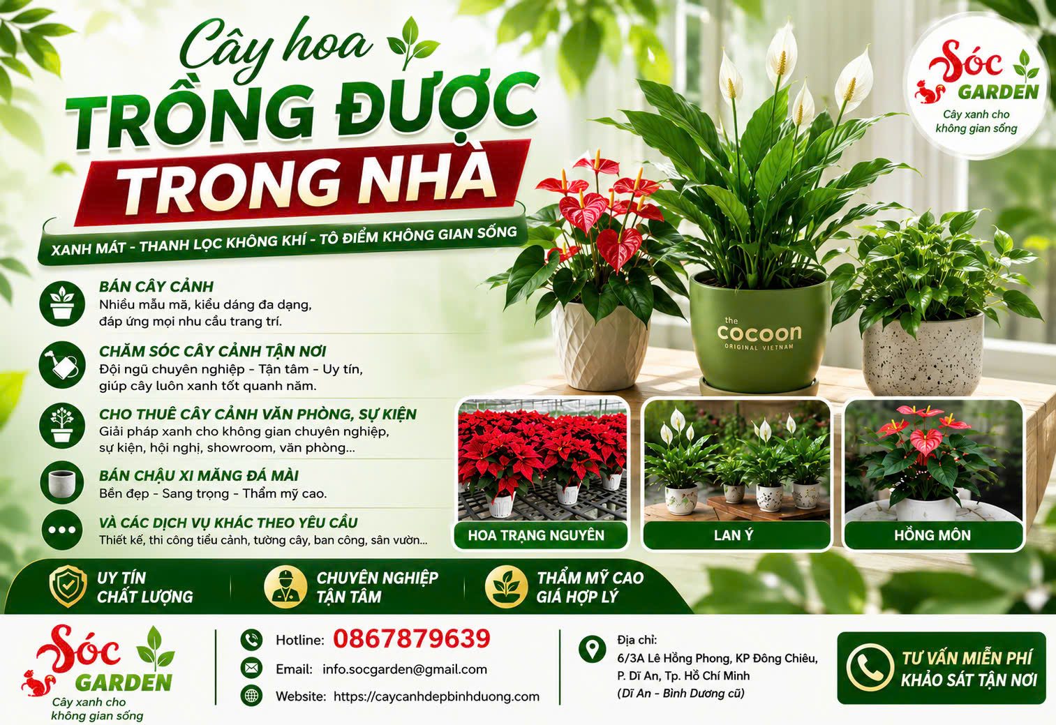Cây nào có hoa trồng được trong nhà?