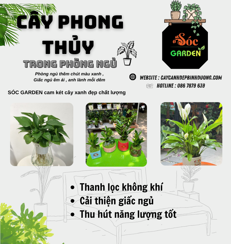 Cây phong thuỷ trong phòng ngủ
