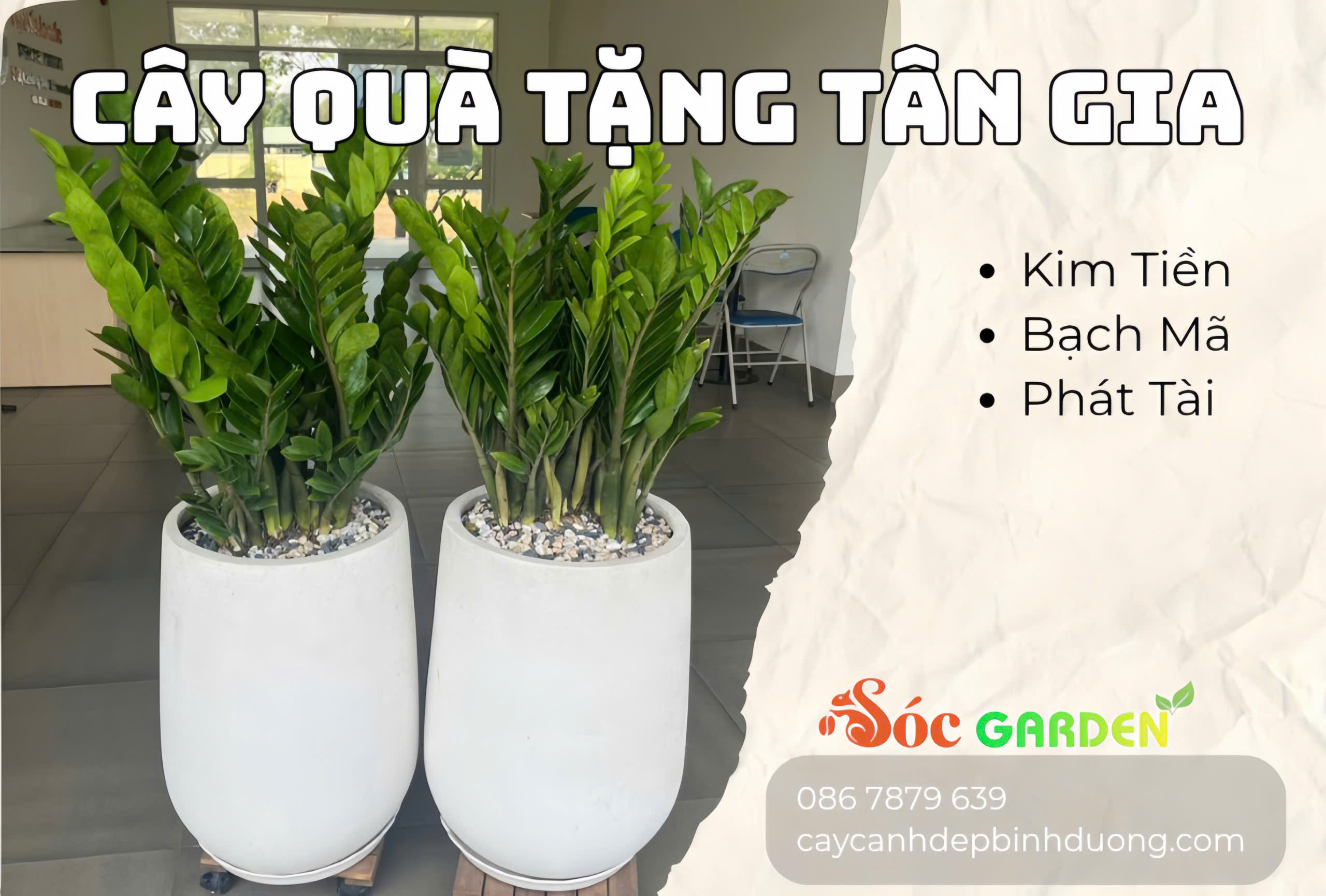 Cây quà tặng tân gia