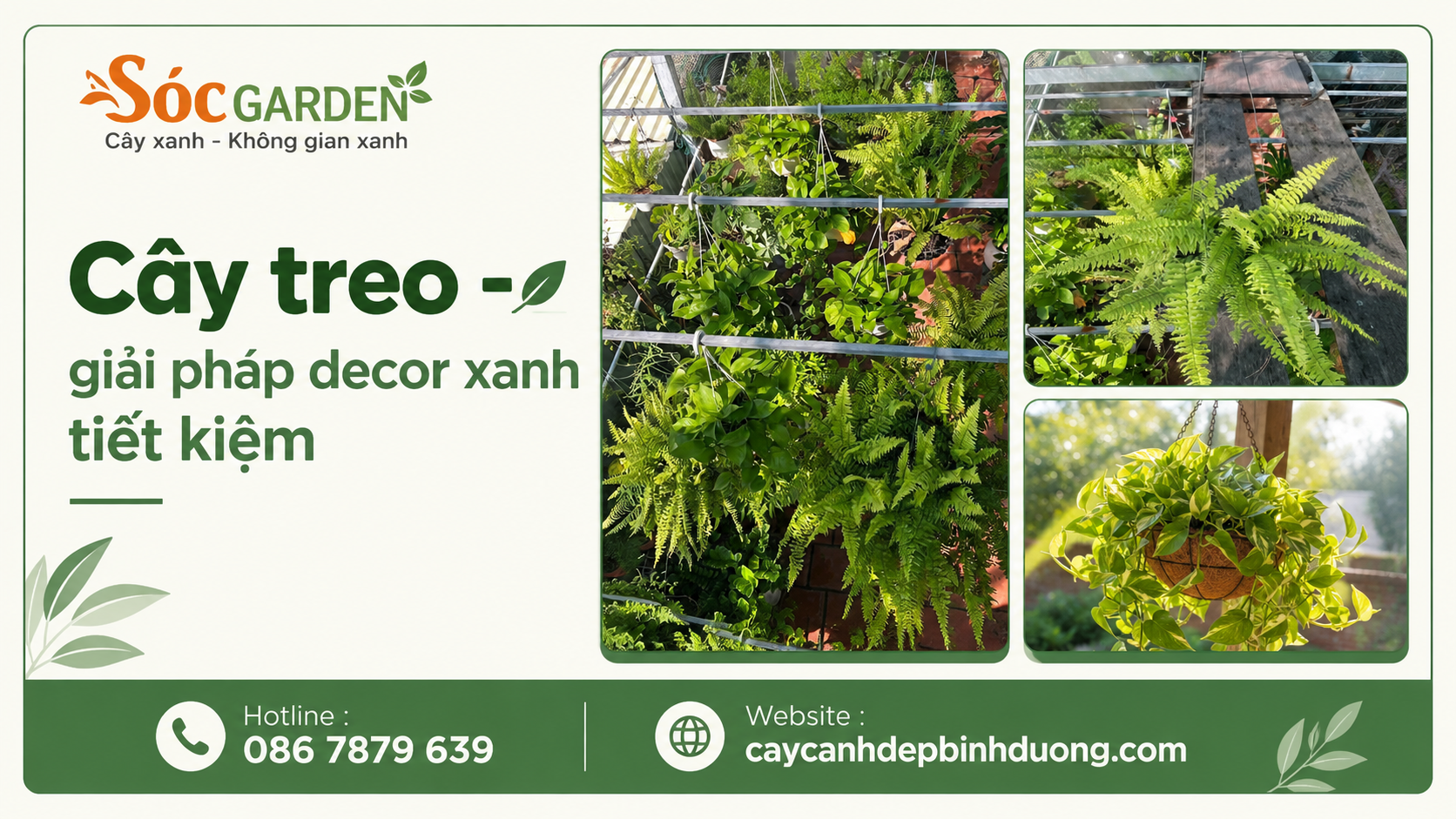 Cây treo - giải pháp decor xanh tiết kiệm