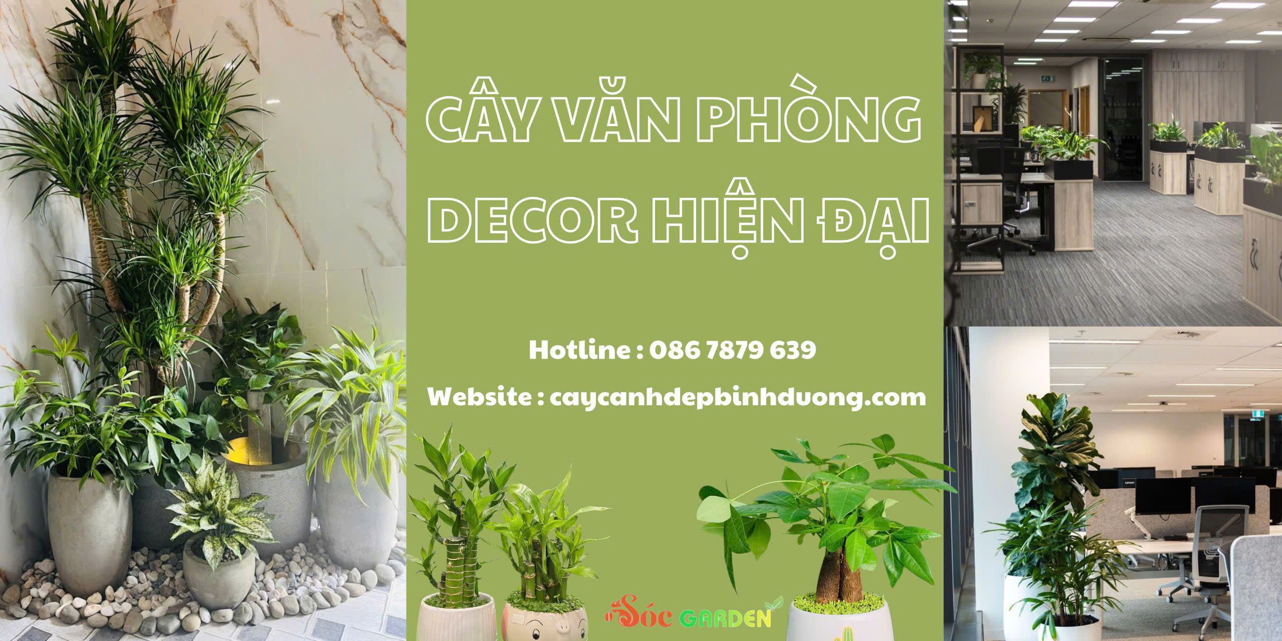 Sóc Garden cung cấp đều được tuyển chọn kỹ lưỡng