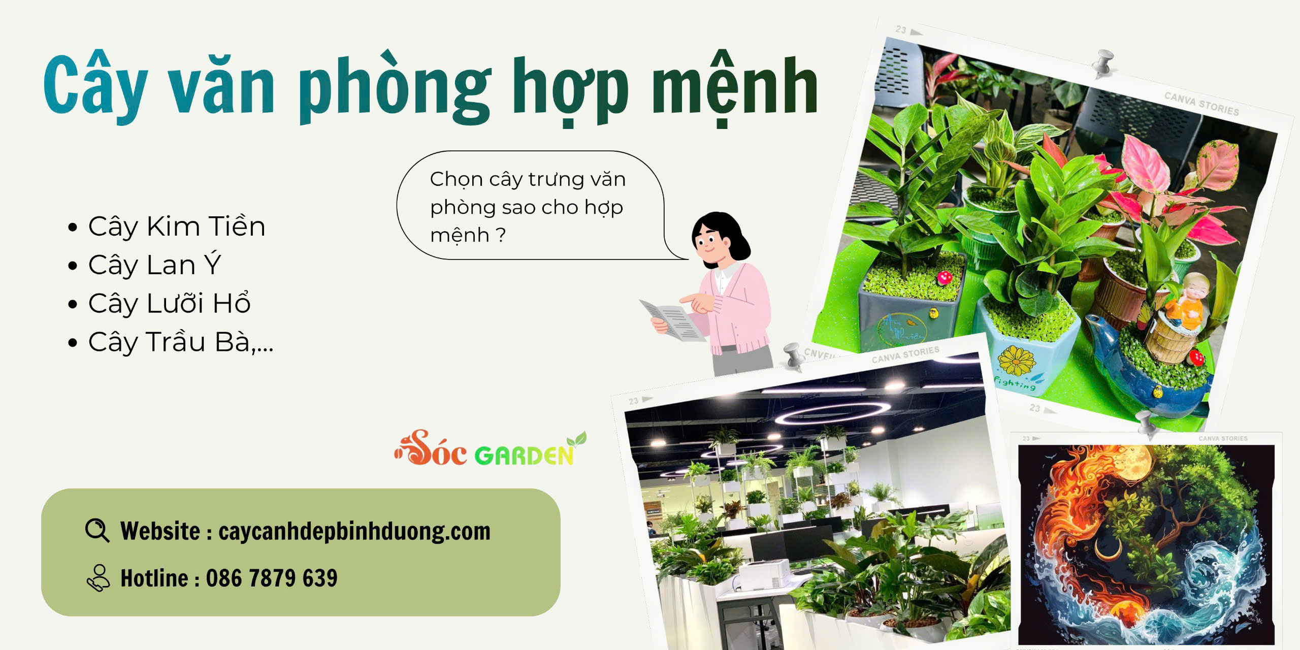 Cây văn phòng hợp mệnh