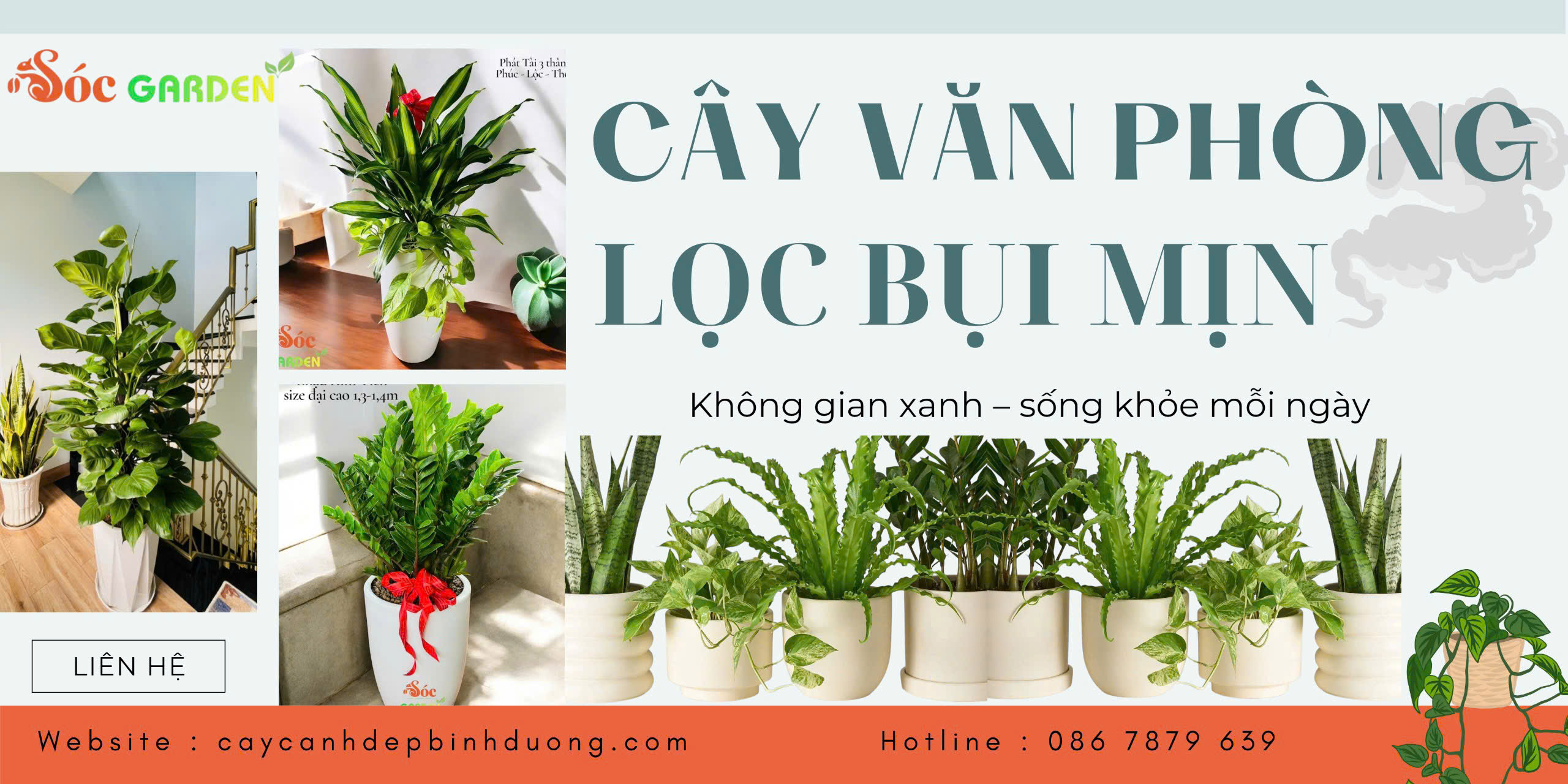 Cây văn phòng lọc bụi mịn