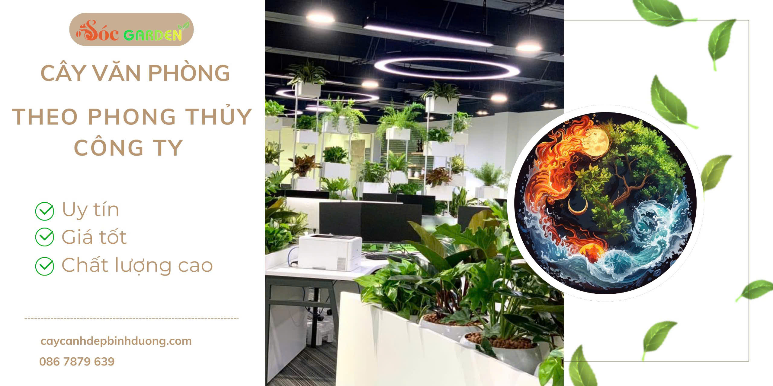 Cây văn phòng theo phong thủy công ty