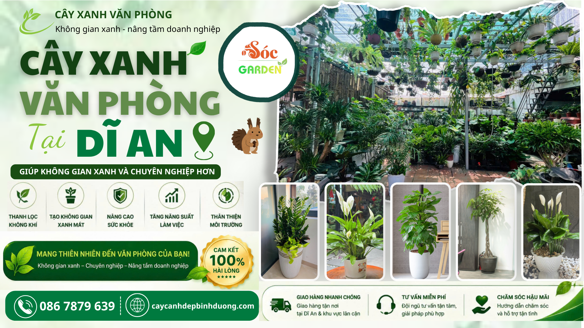 Cây Xanh Văn Phòng Tại Dĩ An
