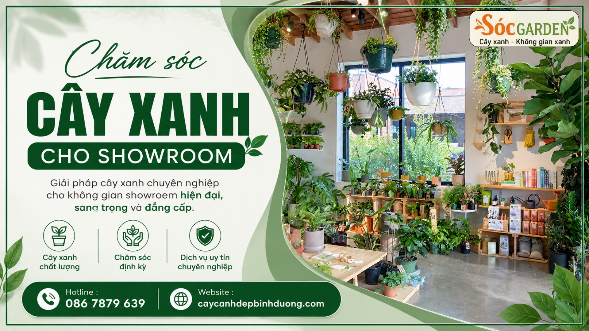 Chăm sóc cây xanh cho showroom