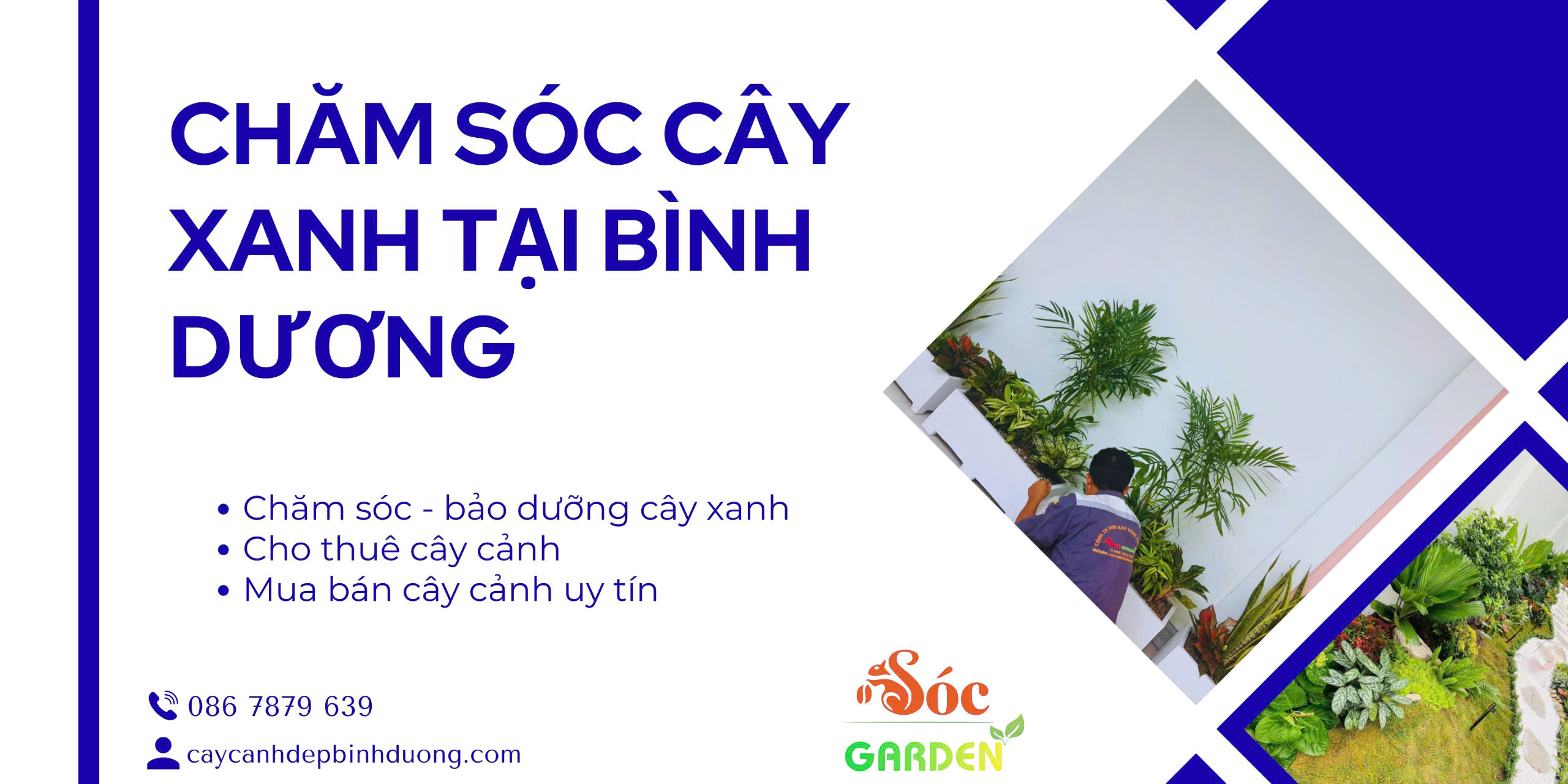 Chăm sóc cây xanh tại Bình Dương