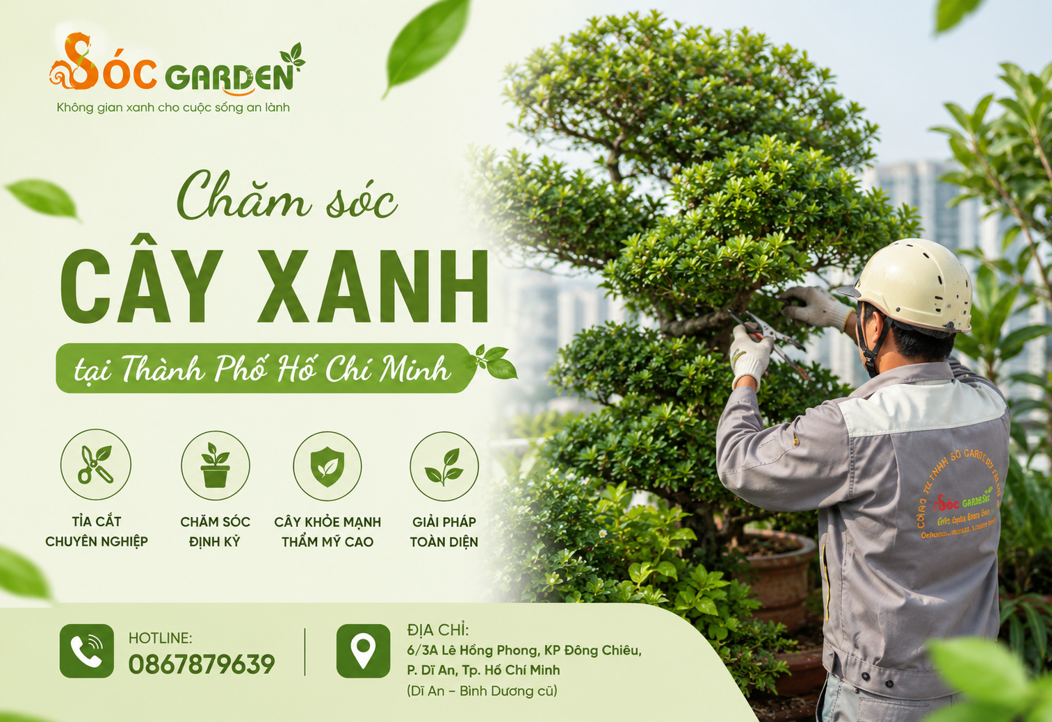 Chăm sóc cây xanh tại Thành Phố Hồ Chí Minh
