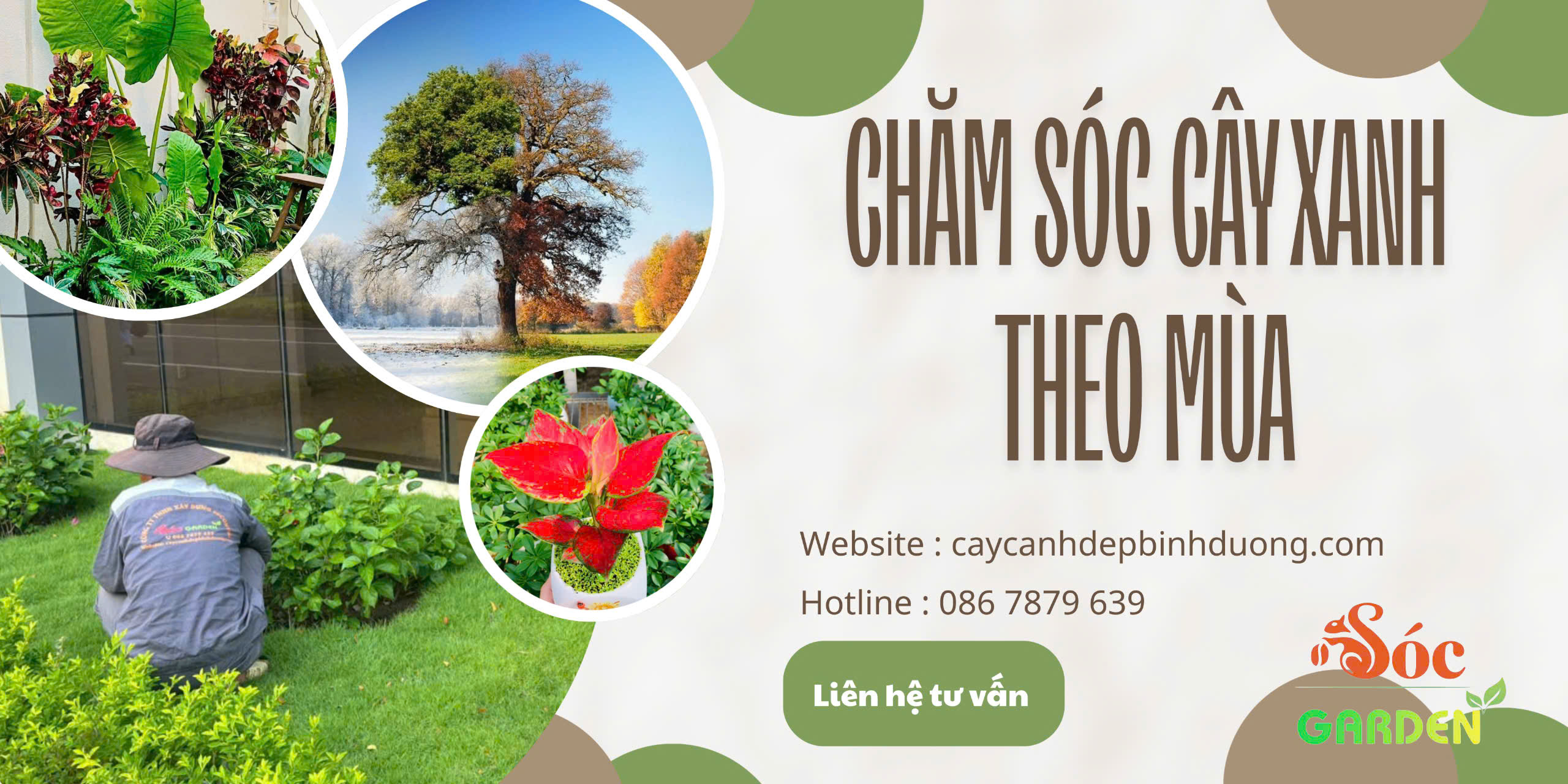 Chăm Sóc Cây Xanh Theo Mùa
