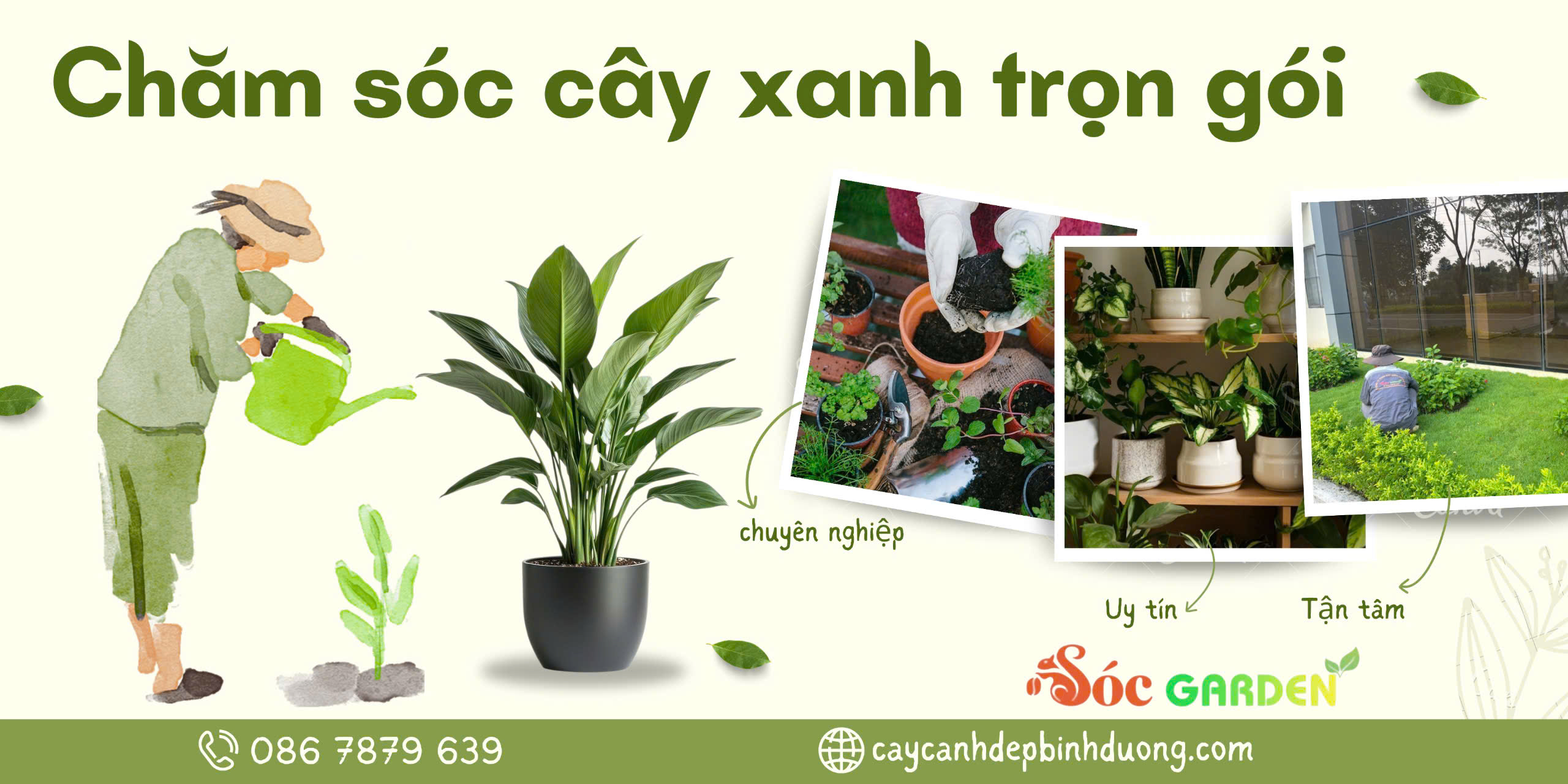 Chăm sóc cây xanh trọn gói