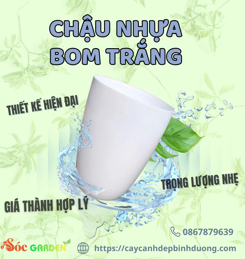 Chậu nhựa bom trắng 30x40 cm