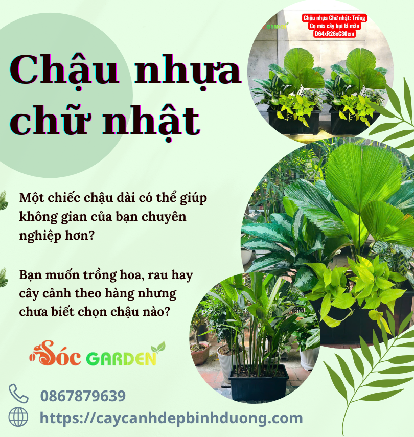 Chậu nhựa chữ nhật 64x26x30 cm 