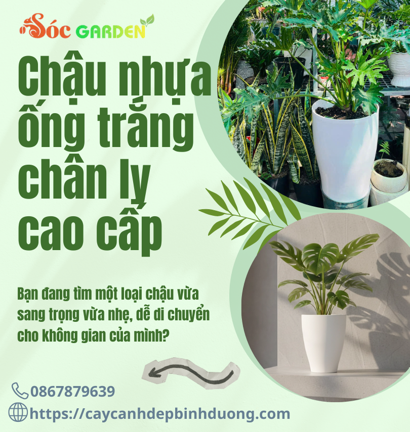 Chậu nhựa ống trắng Chân ly cao cấp 34,5x47 cm