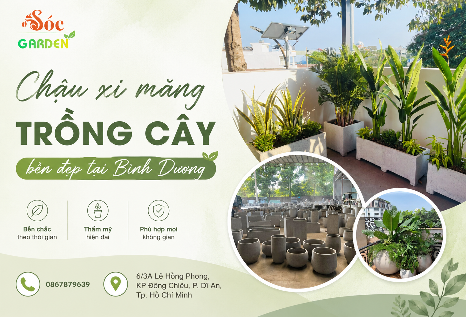 Chậu xi măng trồng cây bền đẹp tại Bình Dương 