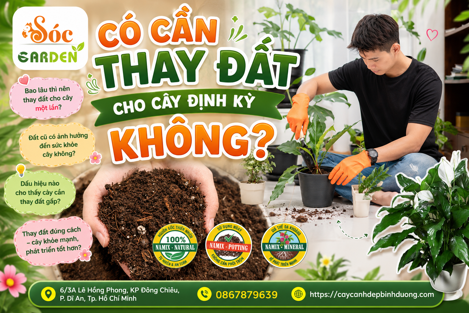Có cần thay đất cho cây định kỳ không?