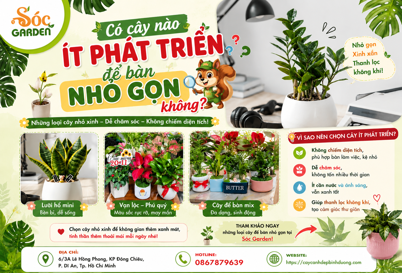 Có cây nào ít phát triển để bàn nhỏ gọn không?