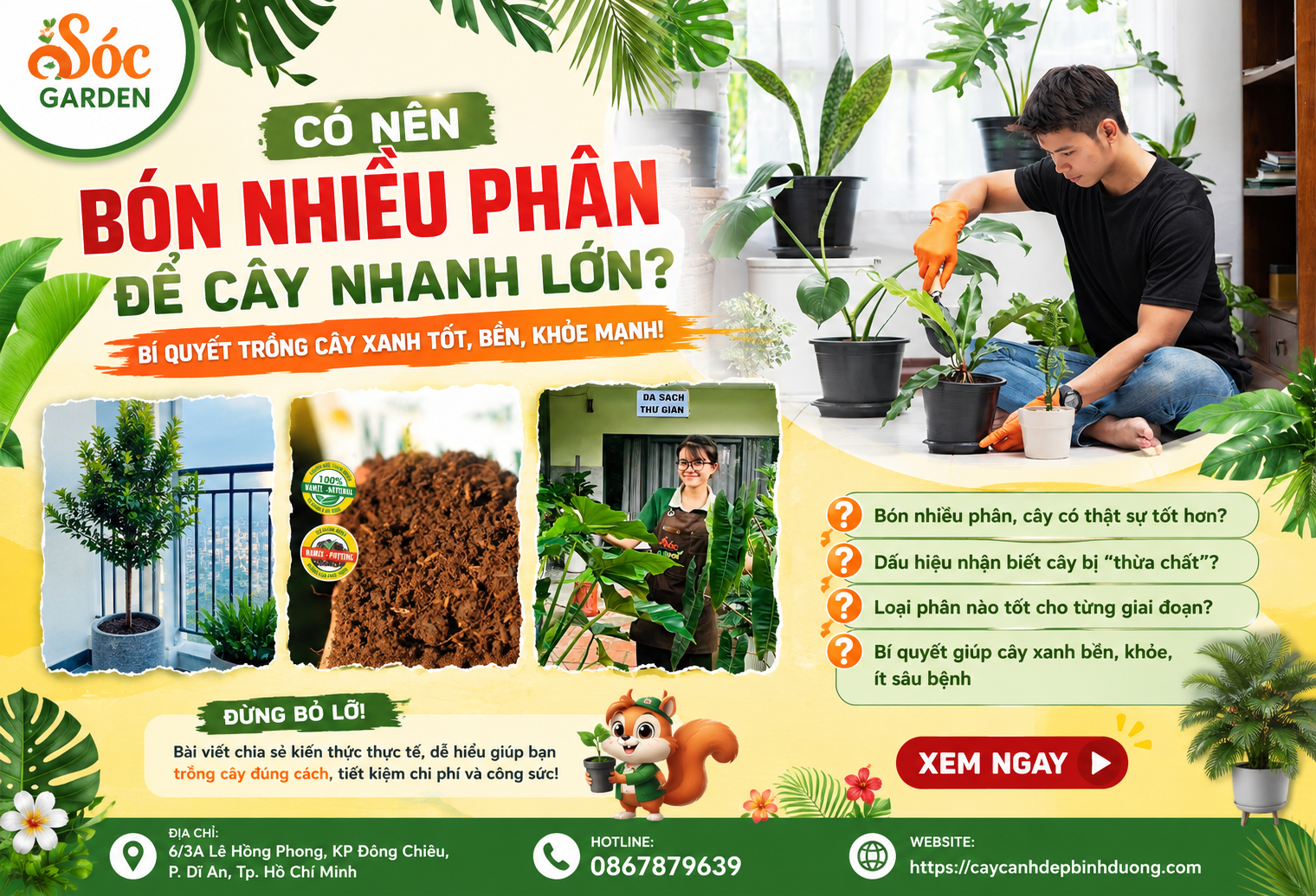 Có nên bón nhiều phân để cây nhanh lớn?