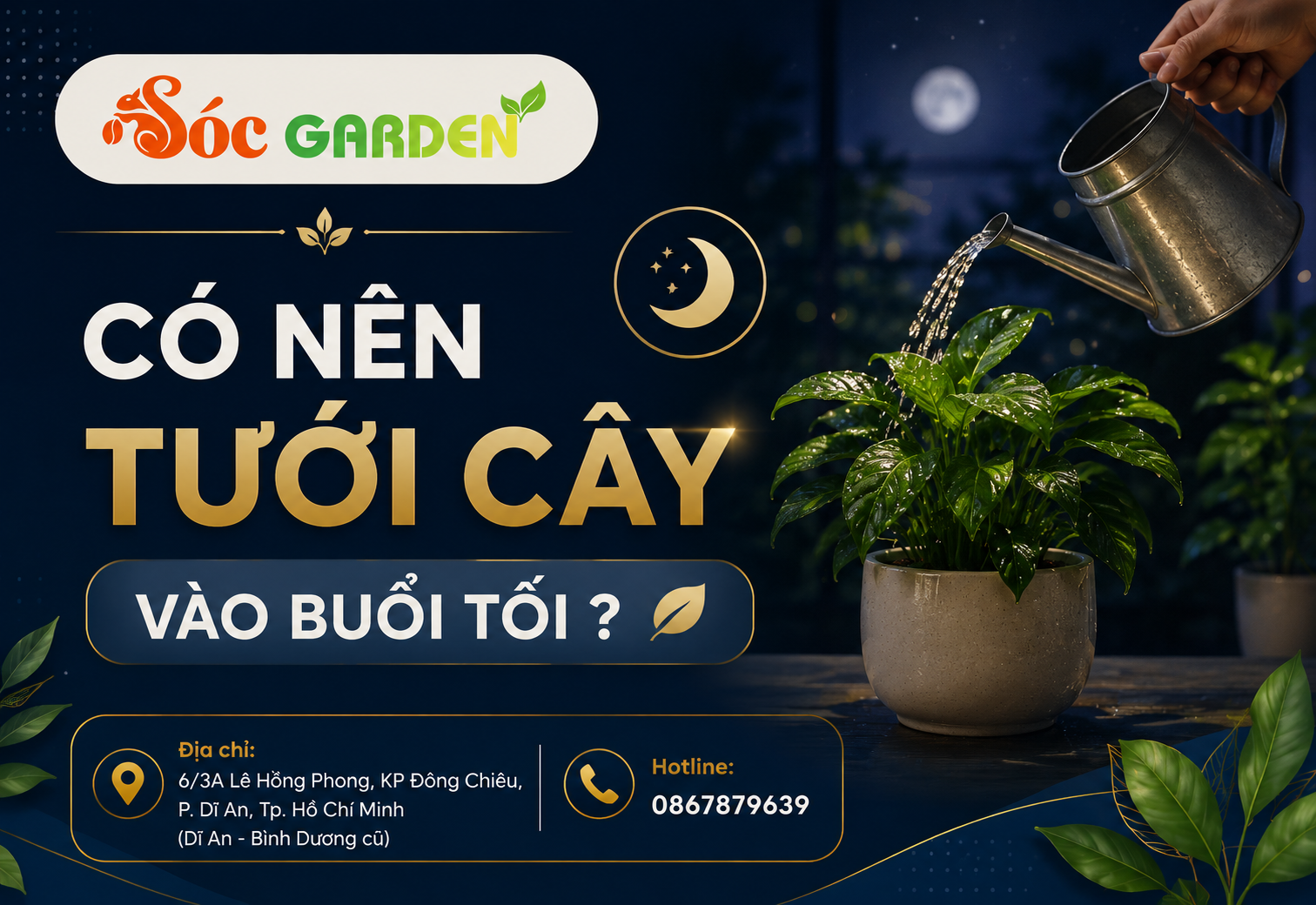 Có nên tưới cây vào buổi tối ?