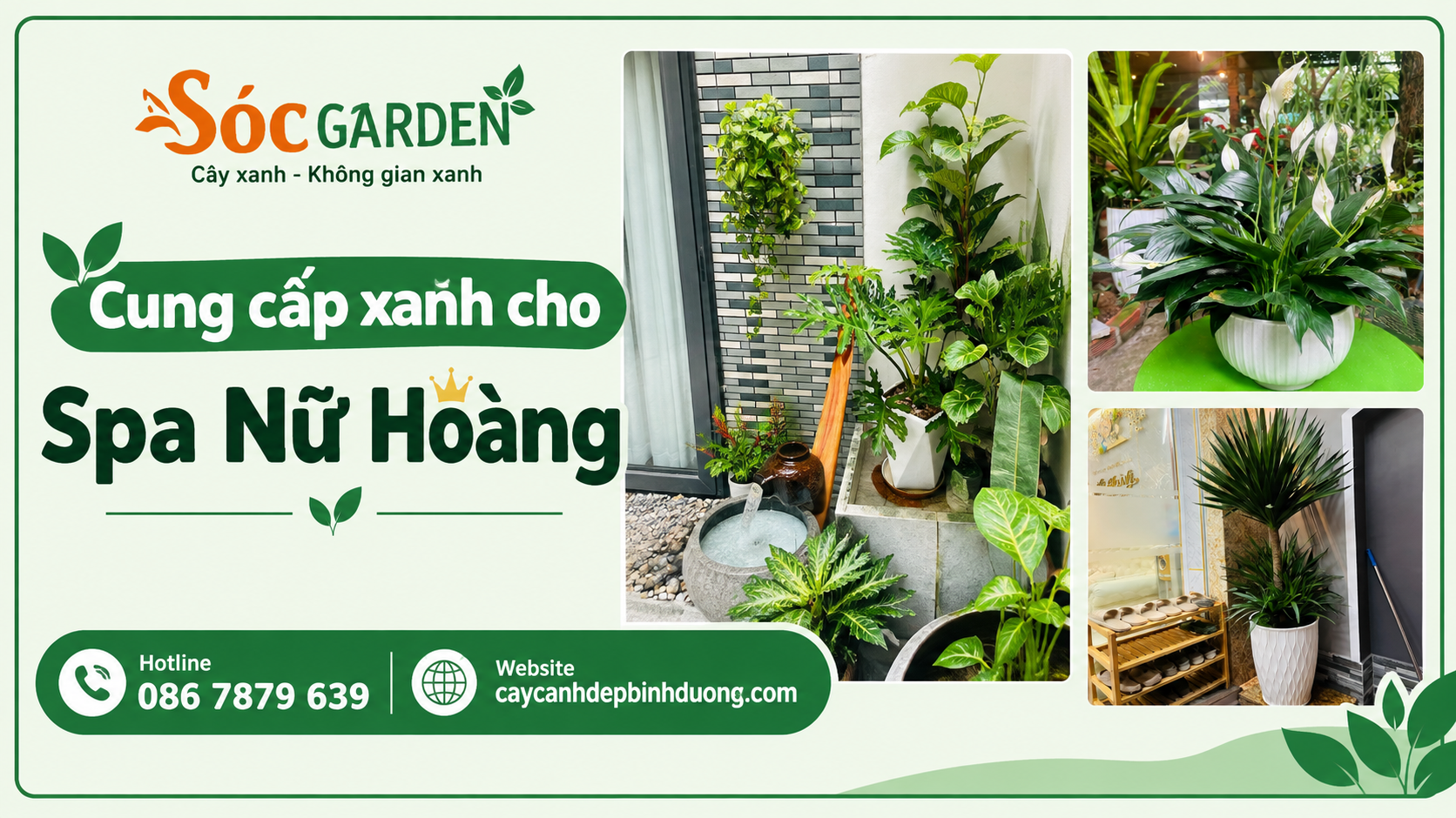 Cung cấp xanh cho Spa Nữ Hoàng