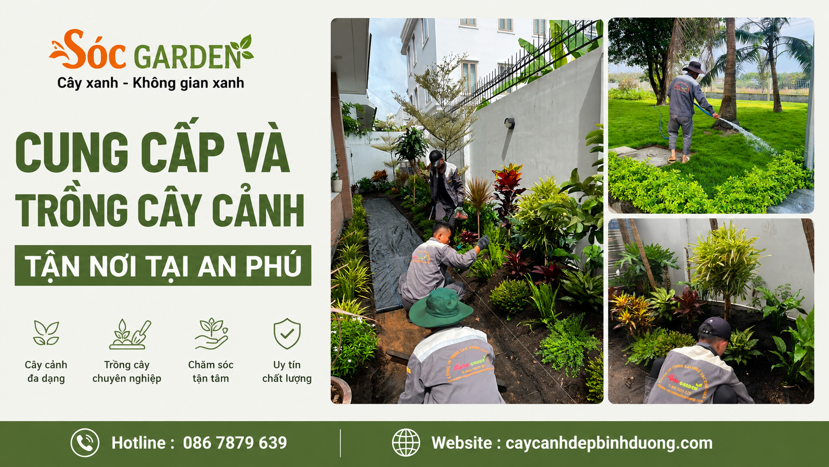 Cung cấp và trồng cây cảnh tận nơi tại An Phú