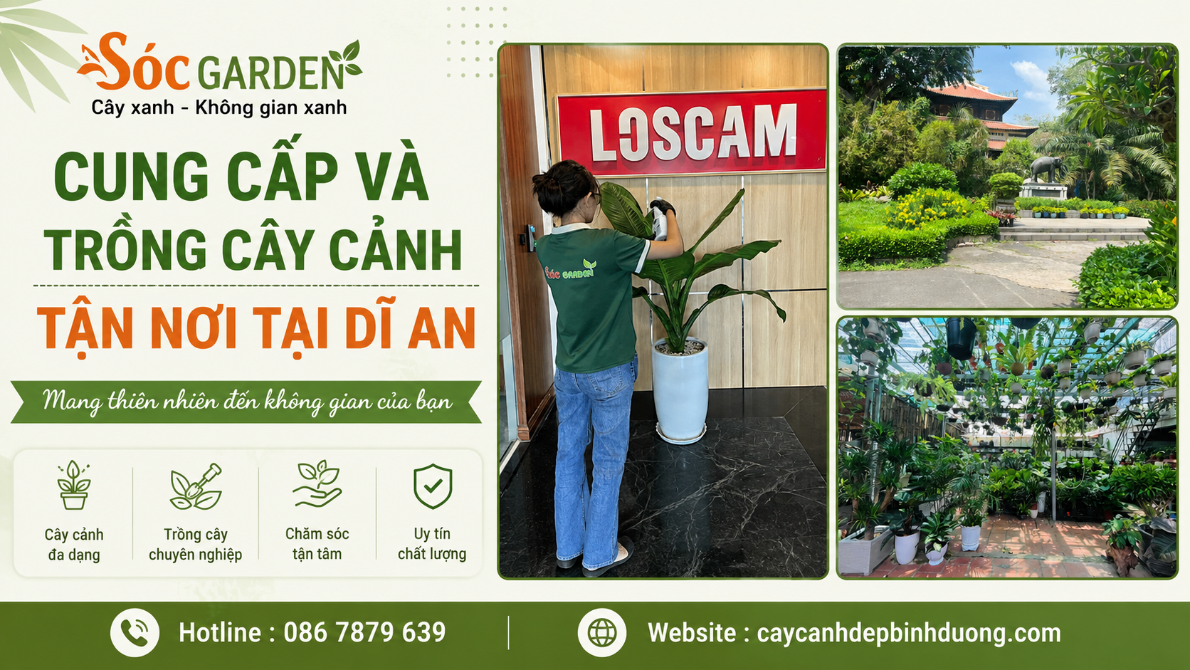Cung cấp và trồng cây cảnh tận nơi tại Dĩ An