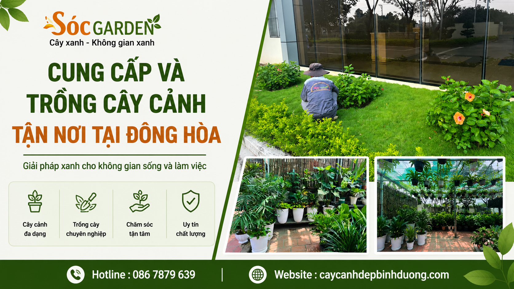 Cung cấp và trồng cây cảnh tận nơi tại Đông Hòa