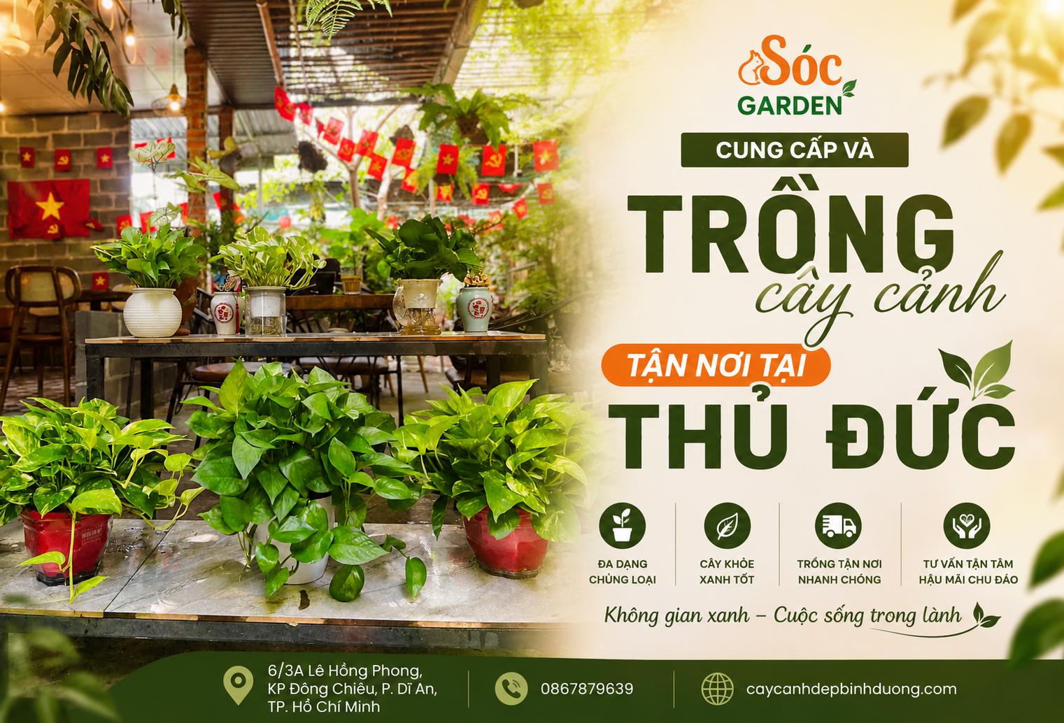 Cung cấp và trồng cây cảnh tận nơi tại Thủ Đức