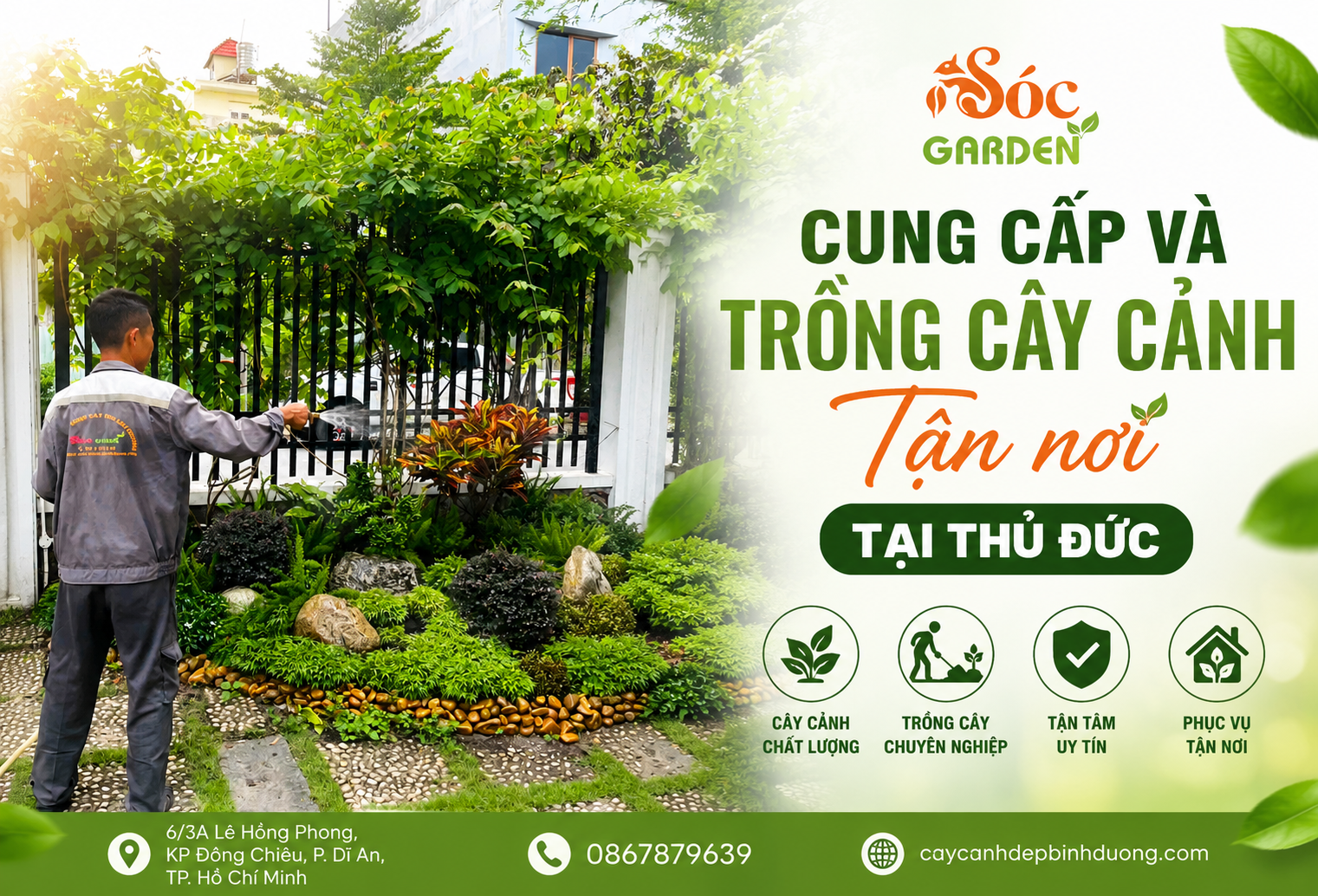 Tư vấn, báo giá rõ ràng dịch vụ cây xanh uy tín
