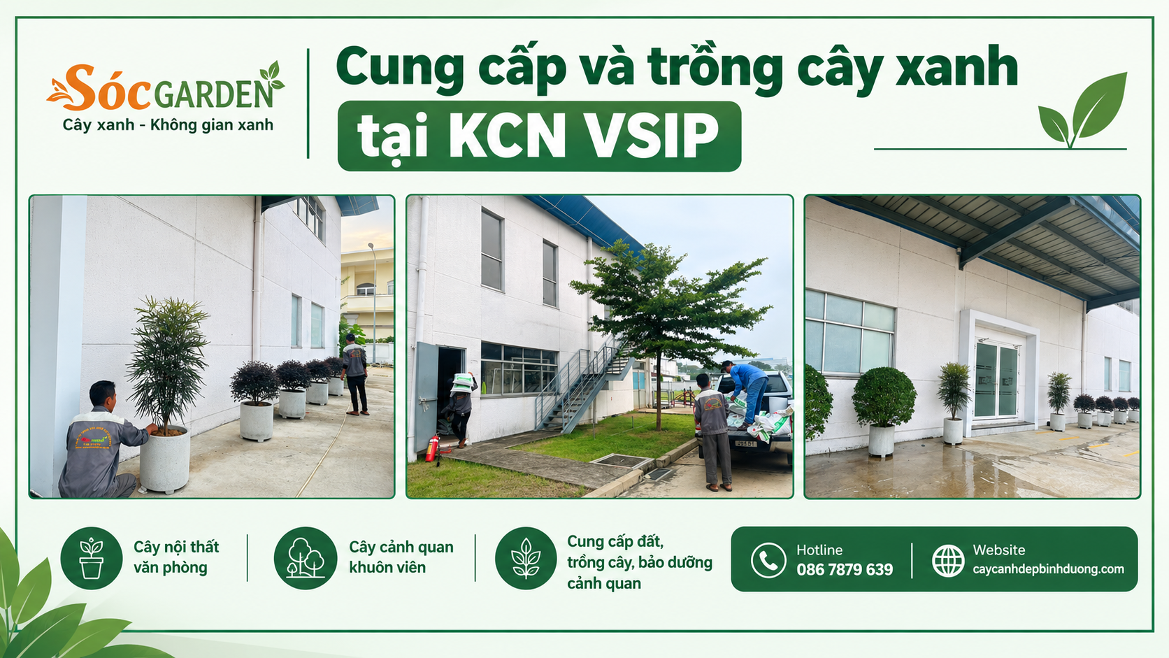 Cung cấp và trồng cây xanh tại KCN VSIP