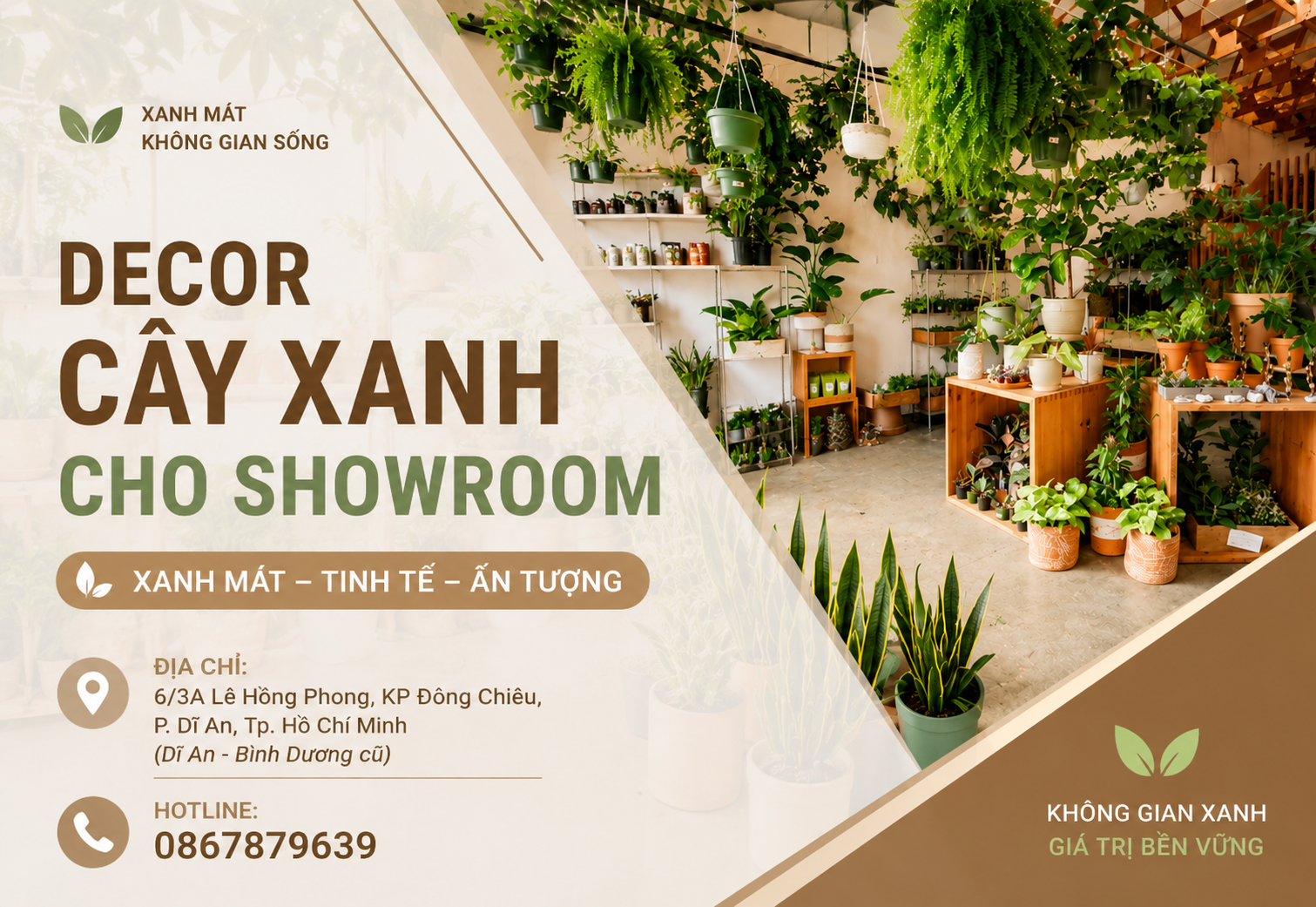 Decor cây xanh cho showroom 