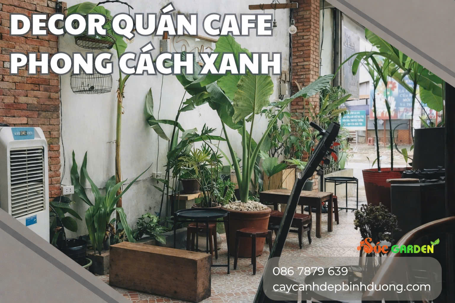 Decor quán cafe phong cách xanh
