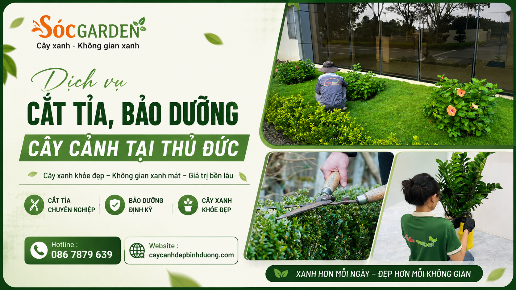 Dịch vụ cắt tỉa, bảo dưỡng cây cảnh tại Thủ Đức