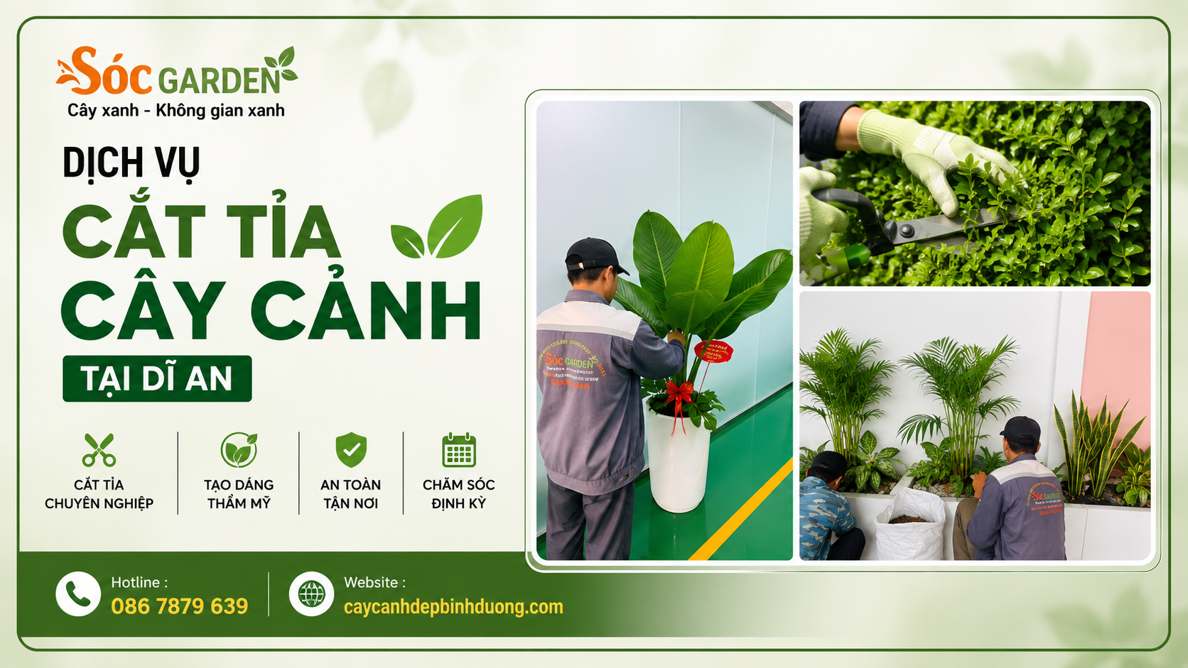 Dịch vụ cắt tỉa cây cảnh tại Dĩ An