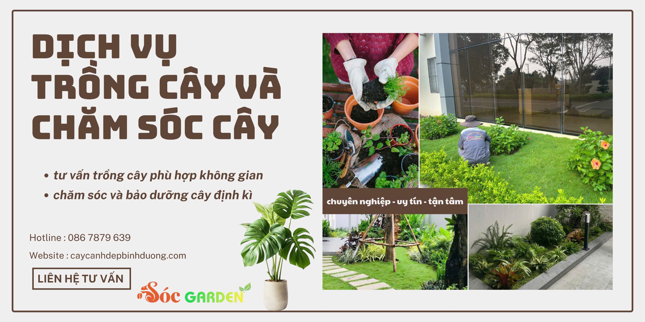 Dịch vụ trồng cây và chăm sóc cây