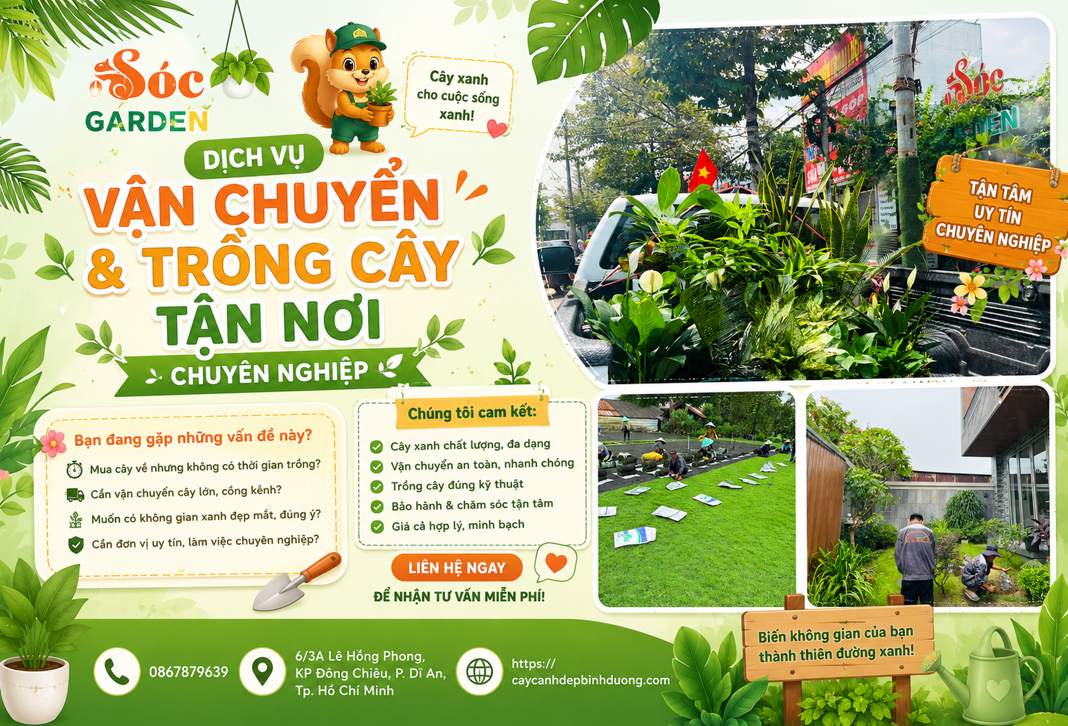 Dịch vụ vận chuyển & trồng cây tận nơi chuyên nghiệp