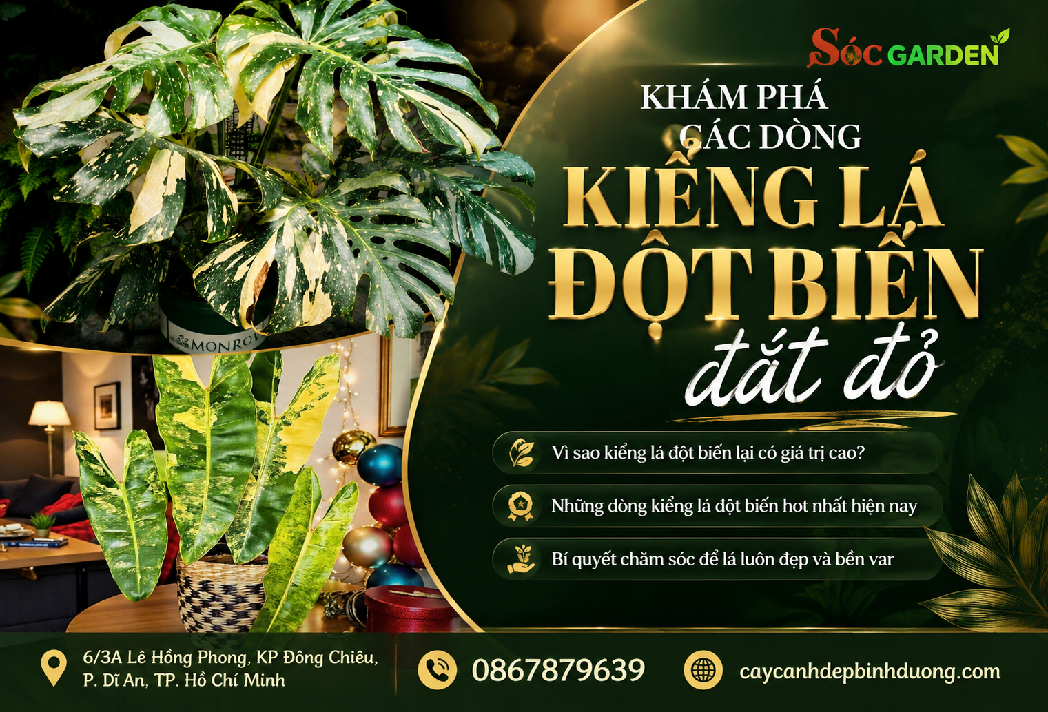 Khám phá các dòng kiểng lá đột biến đắt đỏ